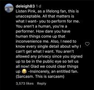 Fans' comments on Pink's Instagram post (Image via Instagram/@pink)